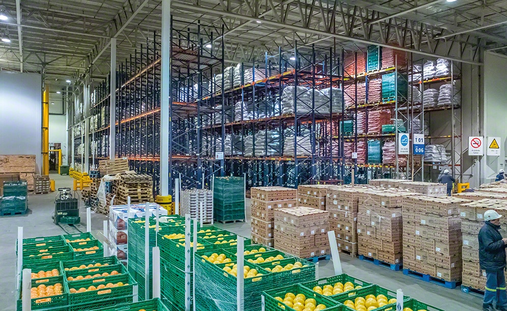El nuevo depósito de fruta fresca, verdura y hortaliza de Coto en Argentina El nuevo depósito de fruta fresca, verdura y hortaliza de Coto en Argentina