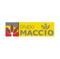 Grupo MACCIO
