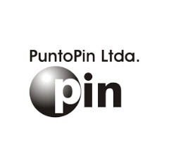 Puntopin logo