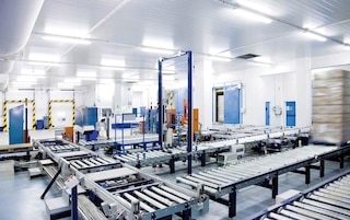 Pallet conveyors, one of the best tools for automating warehouse processes involving load movements.